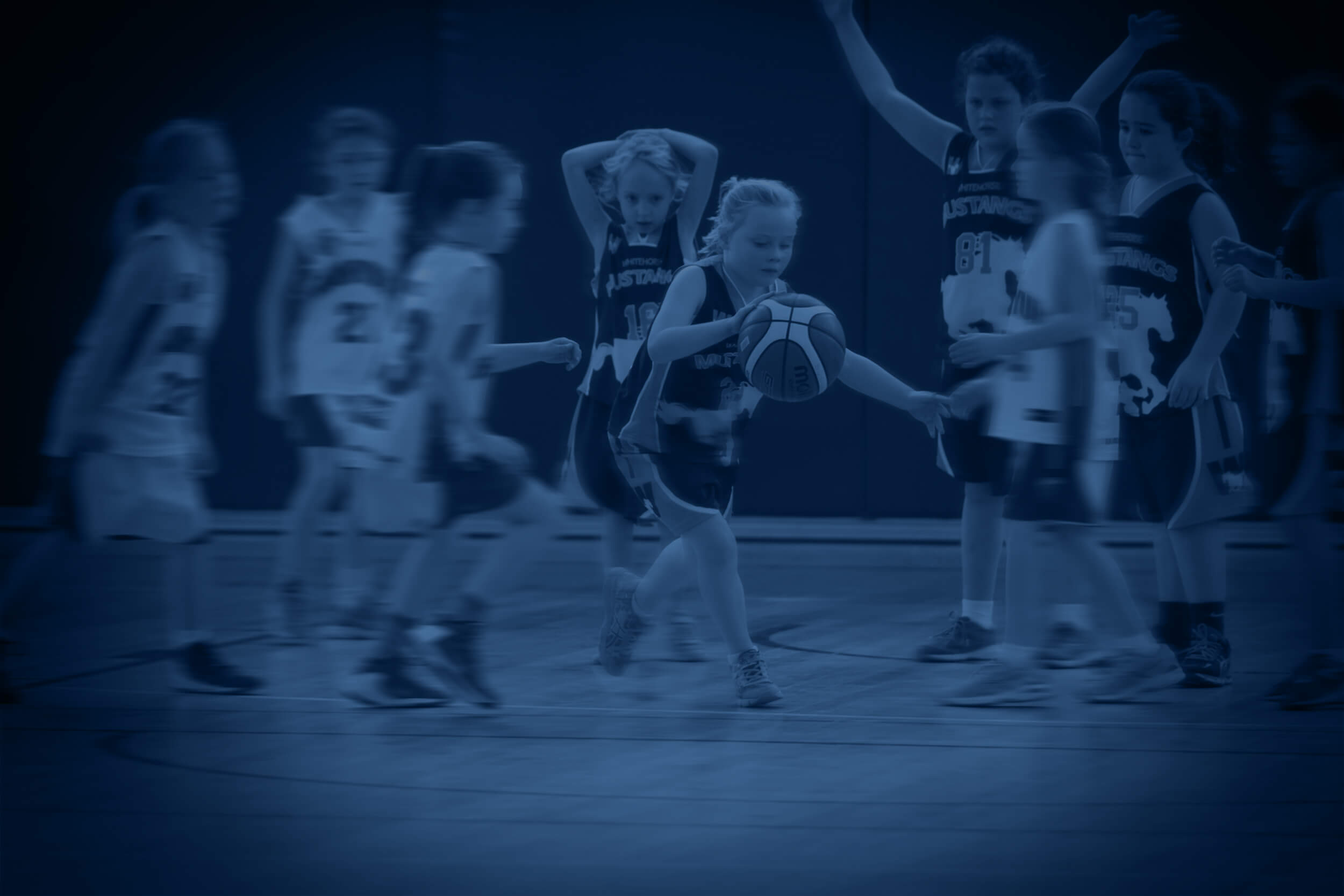 Mustangs blue banner