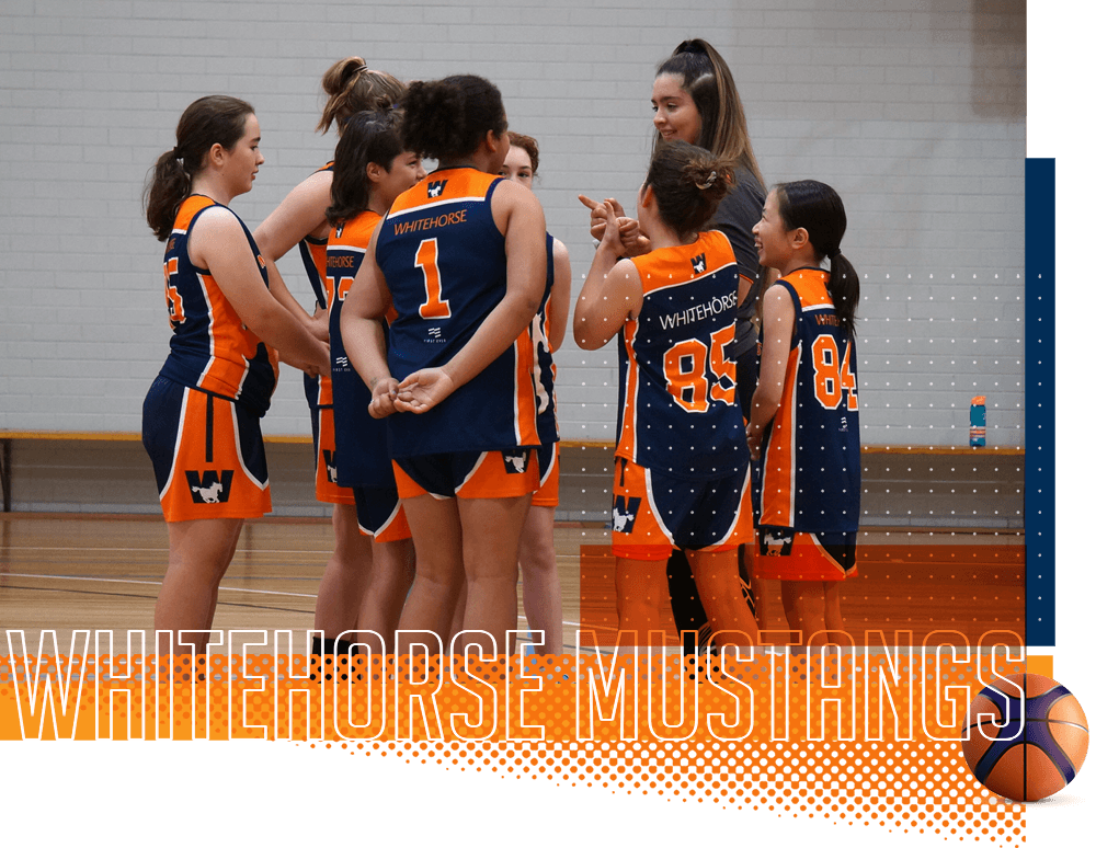 mustangs-Girls-team-right4 mustangs girls team